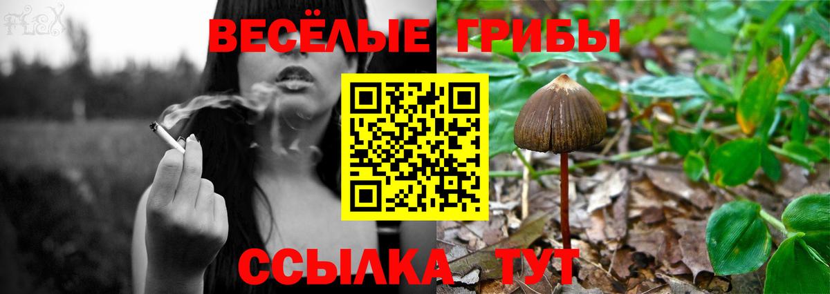 Псилоцибиновые грибы мухоморы Усолье-Сибирское